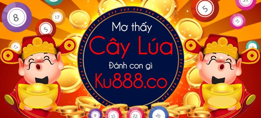 mo thay cay lua